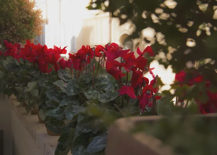 Residenza Canova Tadolini - 招待所 罗马